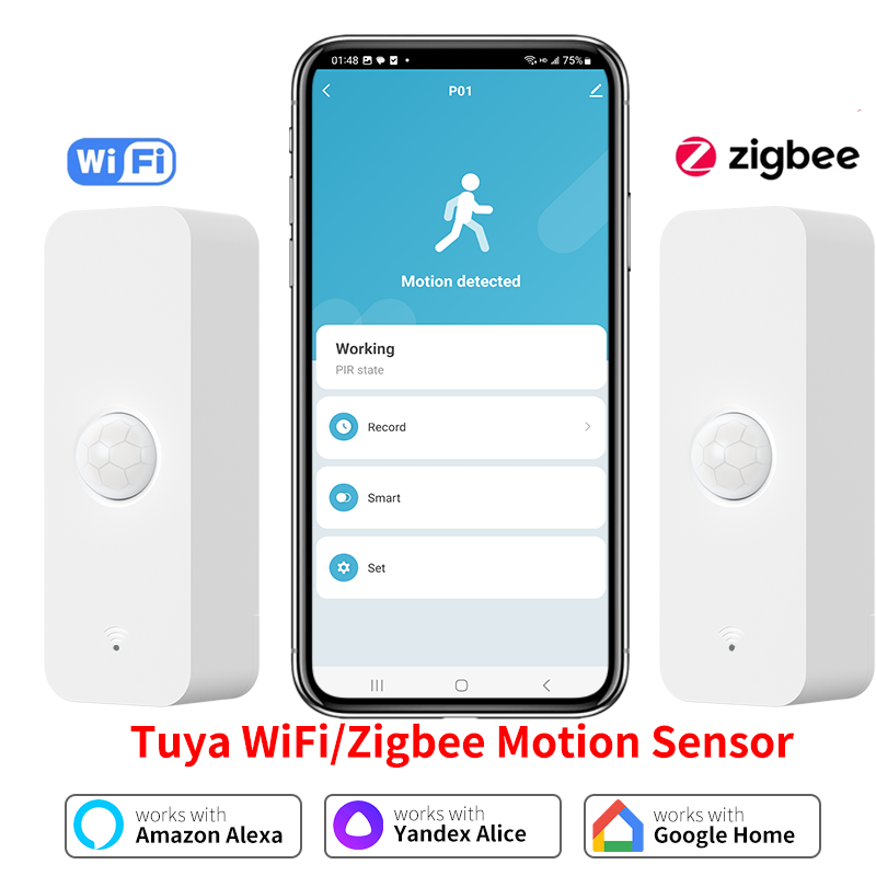Home Security With Alarm - Tuya WiFi Zigbee PIR Motion Sensor