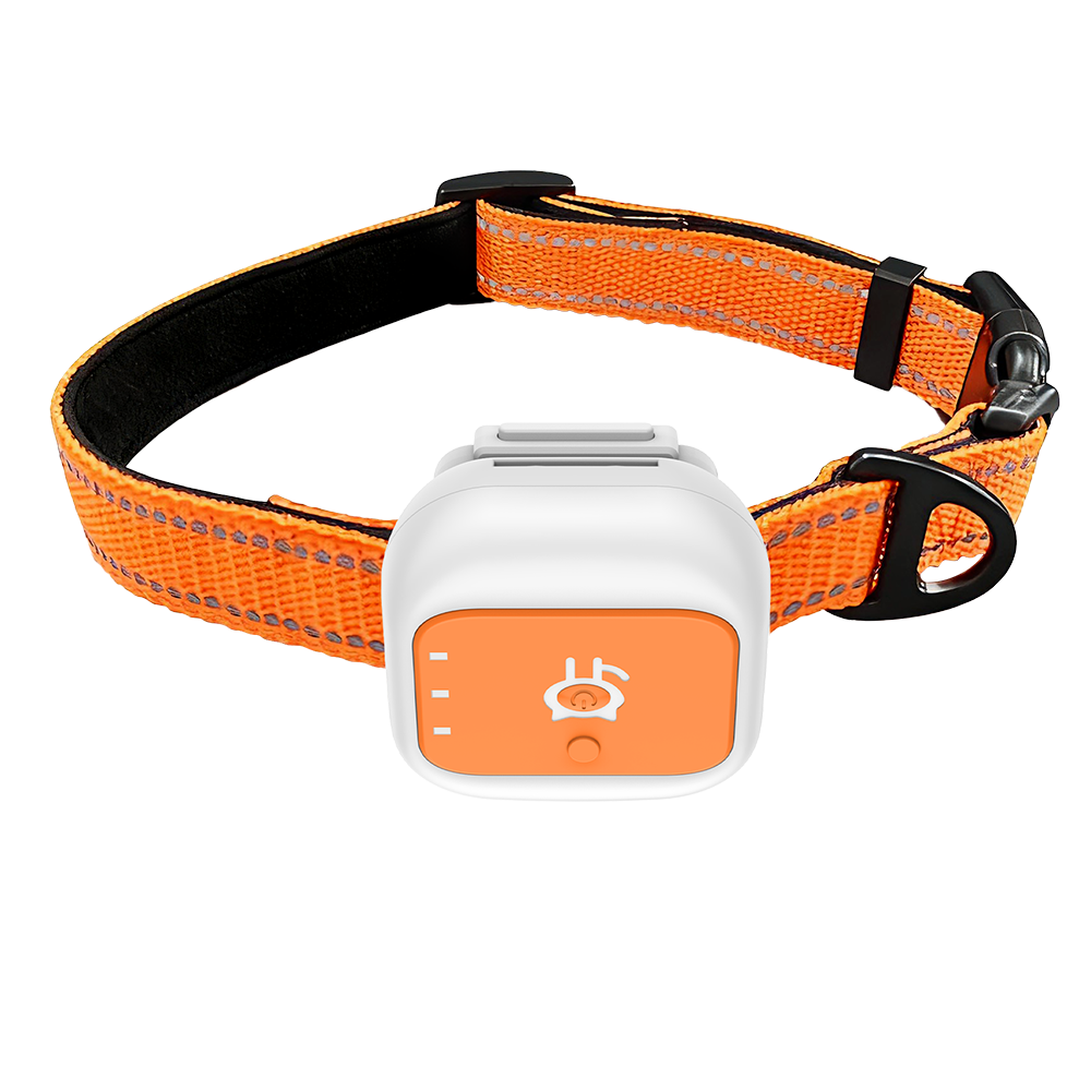 STLFMini Waterproof 4G GPS Dog - Barking Dog Alarm incelemesi ve fiyatı