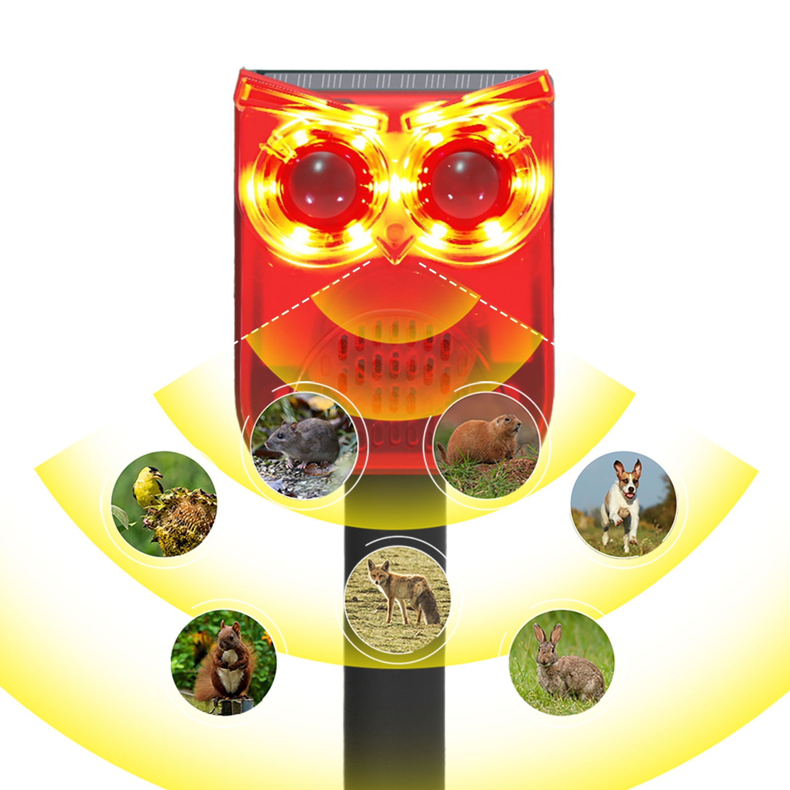 Solar Outdoor Motion Sensor Al - Barking Dog Alarm incelemesi ve fiyatı